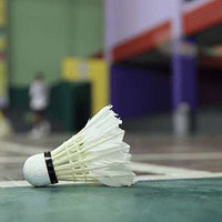 Badminton Flooring 